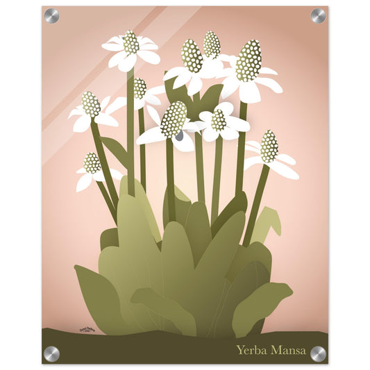 Enchanting Yerba Mansa Wall Art (Pink) / ACRYLIC PRINT - Green Pear House and Home