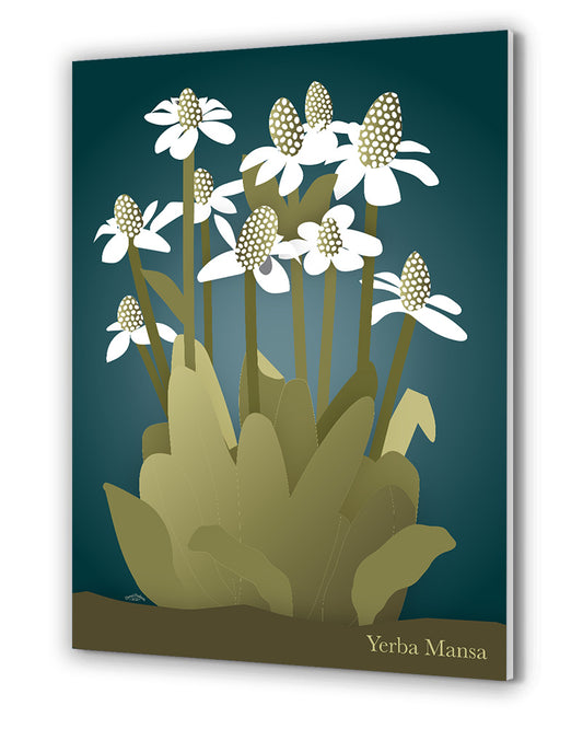 Enchanting Yerba Mansa Wall Art (Blue) / FOAM BOARD PVC PRINT - Green Pear House and Home