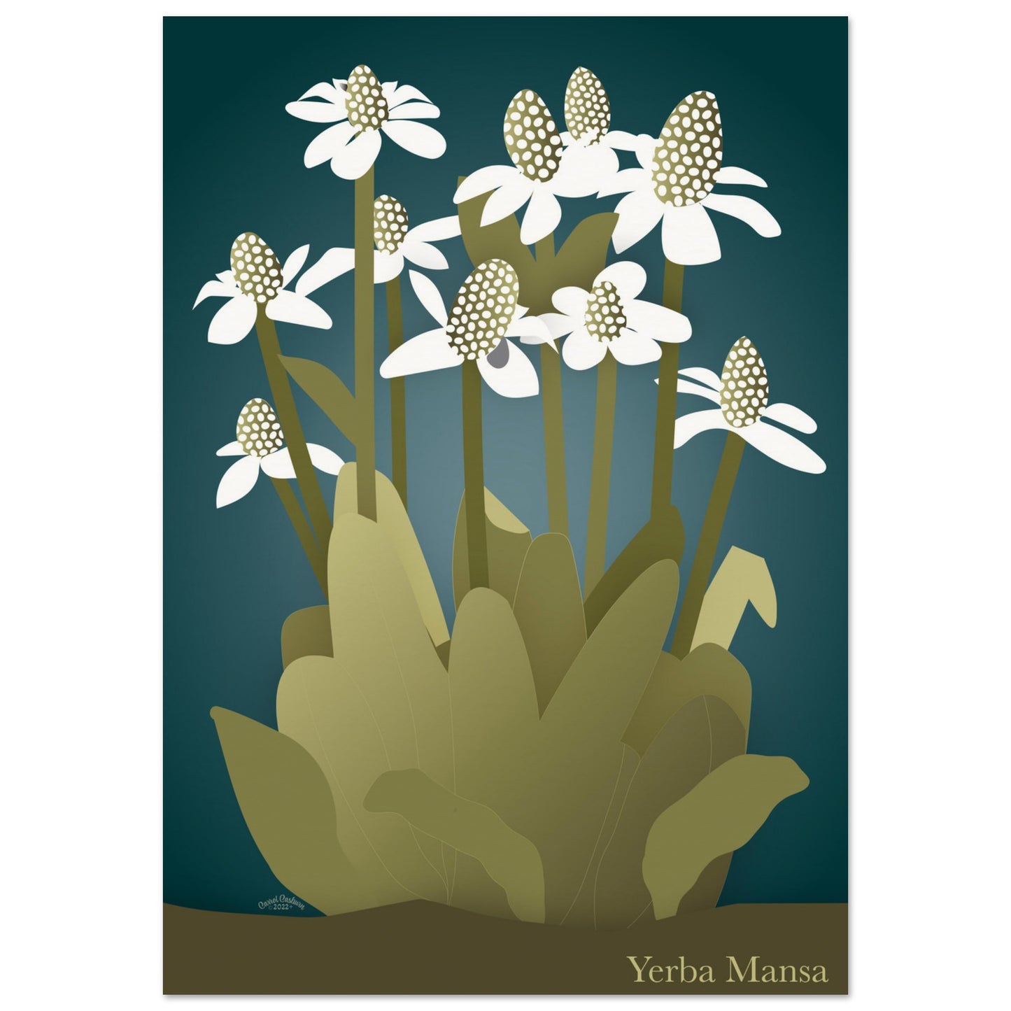 Enchanting Yerba Mansa Art Print / FINE ART MATTE PAPER - Green Pear House and Home